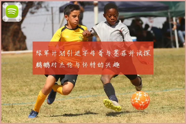 绿军计划引进字母哥与墨菲并试探鹈鹕对杰伦与怀特的兴趣